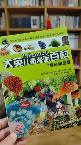 大英儿童百科全书适合几岁读_如何高效做读书笔记