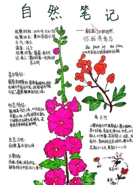 什么是自然笔记_如何写自然百科读书笔记