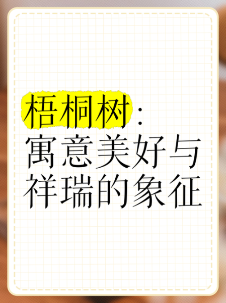 梧桐表达情感_梧桐树象征什么