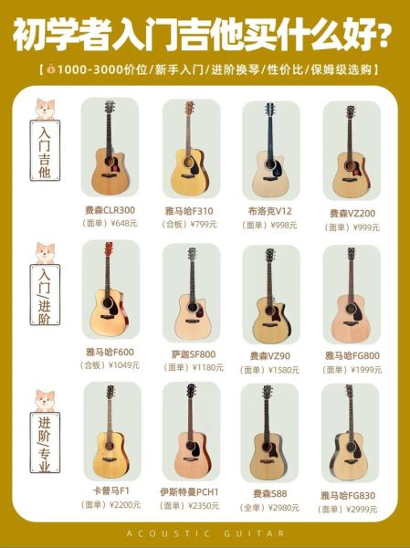 如何挑选适合初学者的吉他_吉他入门买什么价位