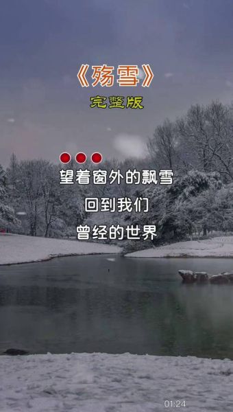殇雪表达什么情感_殇雪歌词含义
