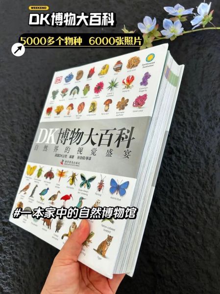 dk博物大百科适合几岁孩子_读书小报怎么做