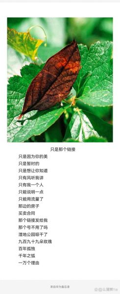 吴青峰歌词情感表达_如何治愈孤独