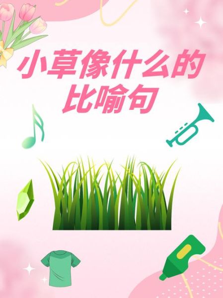 小草怎么表达情感_小草象征什么情感