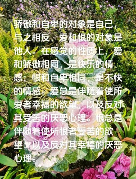 表达情感和情感表达的区别_如何区分