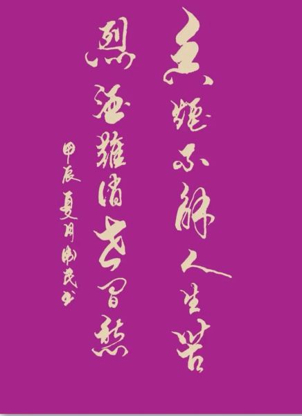 情感表达书法视频怎么做_书法视频如何打动人心