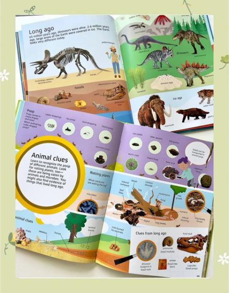 毛毛虫点读书dk英汉百科怎么用_适合几岁孩子