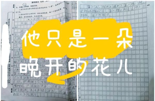 小学生写作焦虑怎么办_如何激发写作兴趣
