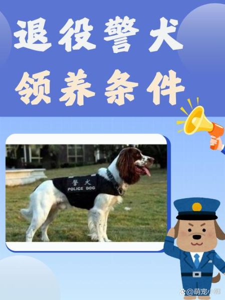 退役警犬会难过吗_如何安慰退役警犬