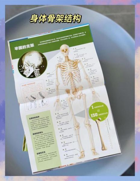 少儿百科必读书目有哪些_如何挑选适合孩子的百科全书