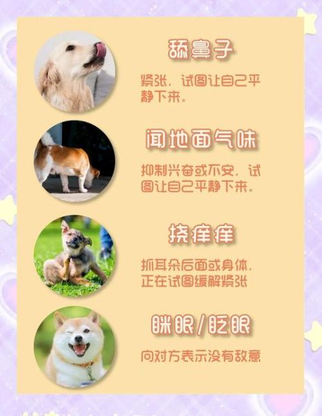 狗狗为什么突然情绪低落_如何安抚狗狗情绪