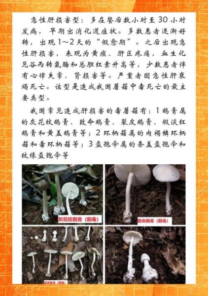 读书蘑菇百科_如何辨别毒蘑菇
