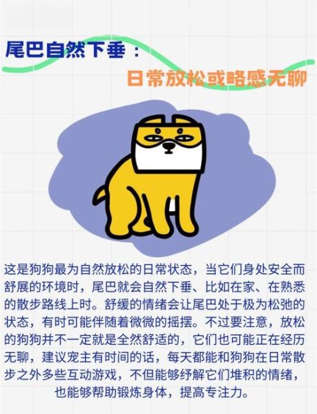 狗狗摇尾巴是什么意思_狗狗情感表达有哪些