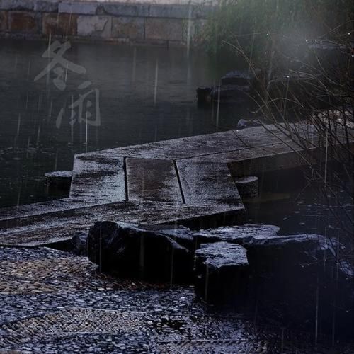 冬雨_情感表达