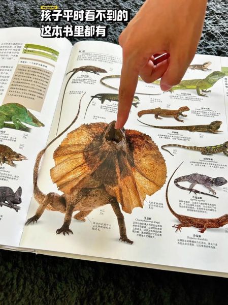一年级博物大百科适合几岁读_怎么读最有效