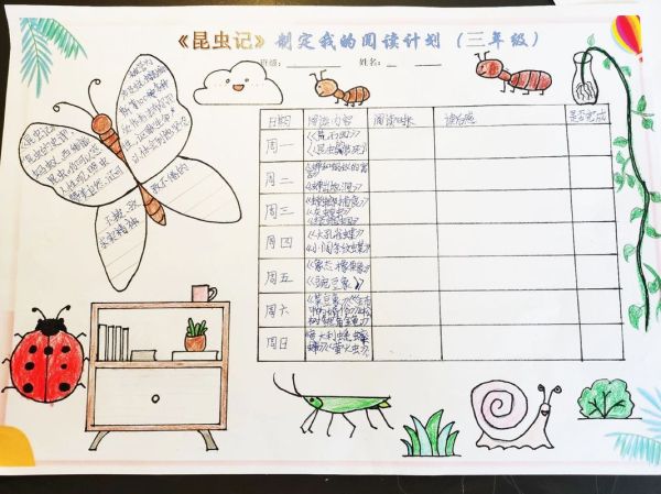 昆虫百科读书笔记_昆虫有哪些分类