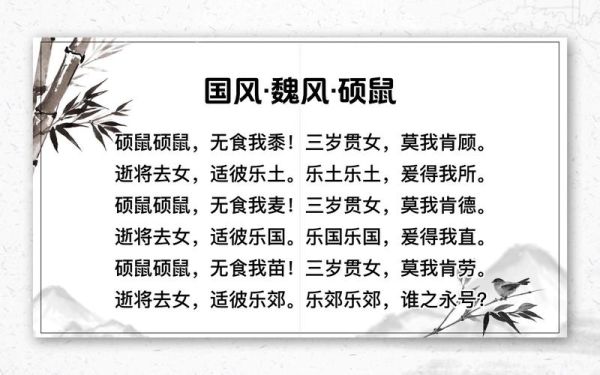 硕鼠表达情感_如何识别硕鼠的情绪变化