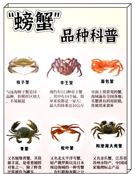 海蟹怎么挑选_海蟹百科知识