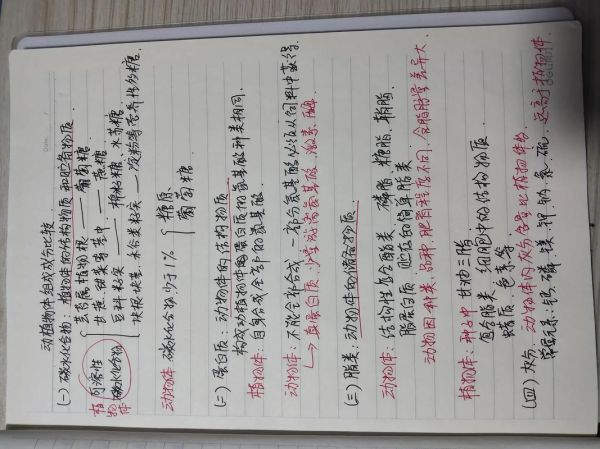 动物百科读书笔记怎么做_动物百科读书笔记模板