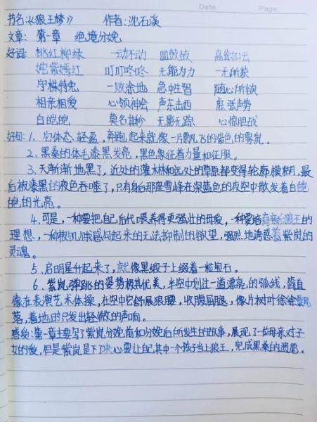 读书笔记怎么写_第一章内容提炼技巧