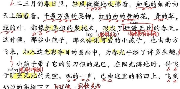 燕子声乐表达情感_如何用声音传递情绪