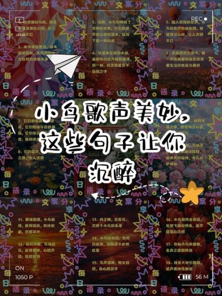 小鸟情感表达歌曲_如何用旋律治愈心灵
