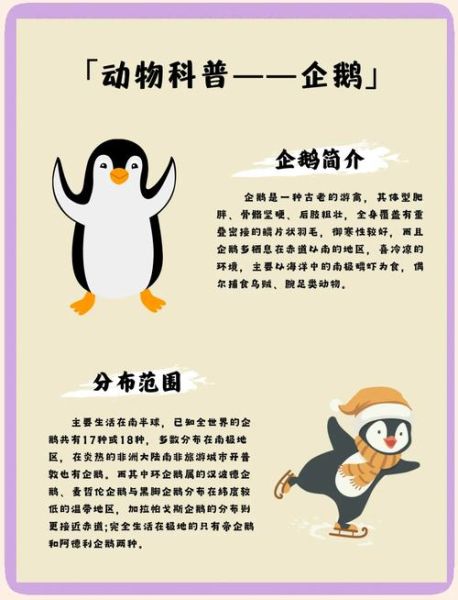 企鹅为什么不会飞_企鹅翅膀的用途