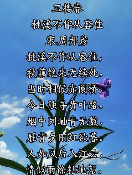 玉楼春表达了什么情感_玉楼春的情感基调是什么