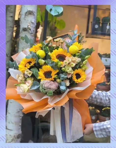 太阳花代表什么情感_太阳花送什么人合适