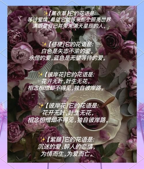 花期情感表达_如何让花语更打动人心