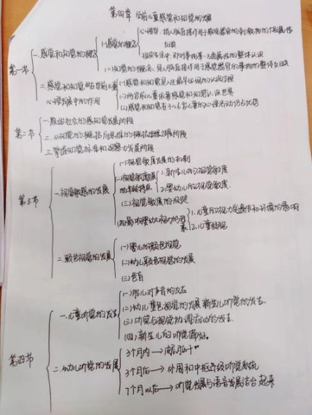 幼儿心理学作业怎么写_幼儿心理学作业范例