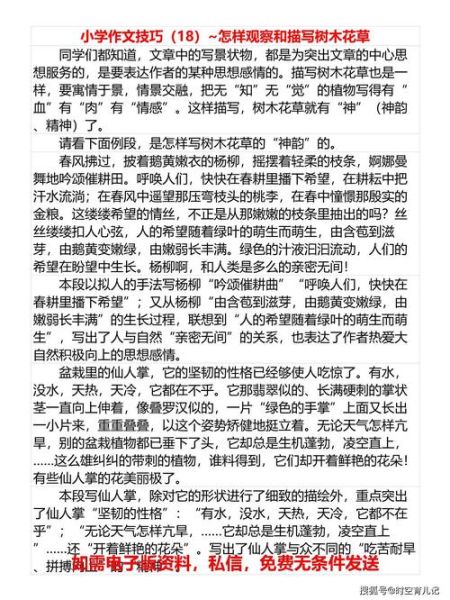 如何写好叙事作文_表达情感有哪些技巧