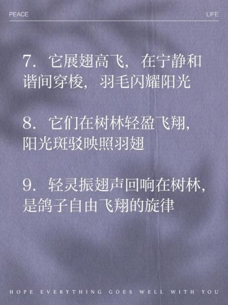 鸽子咕咕叫是开心还是生气_如何读懂鸽子的情感表达