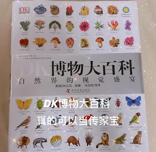 DK博物大百科适合多大孩子读_读完有什么收获