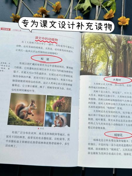 读书老师秒懂百科是什么_读书老师秒懂百科怎么用