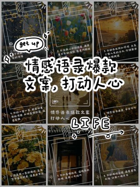 总裁深夜表达情感_如何打动人心