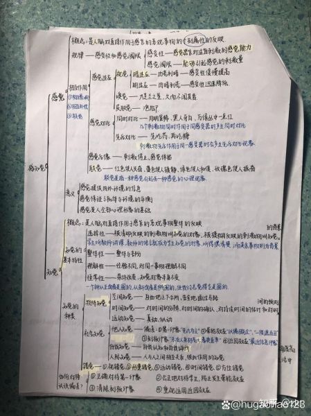 心理学有哪些分支_心理学分支有哪些